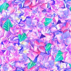 Watercolor seamless pattern with hydrangeas.Hand drawn nature painting.