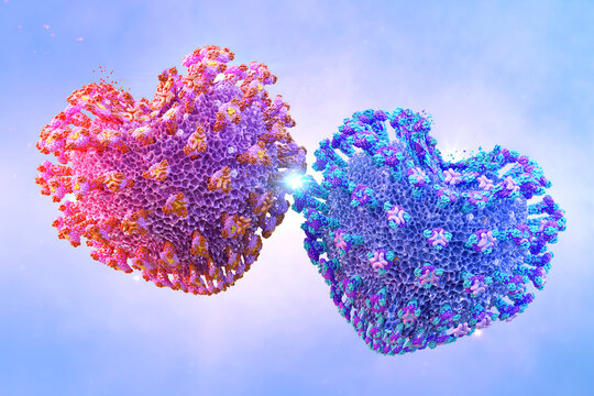 Valentine Day two coronavirus covid-19 hearts. Mutation virus cells 3D Valentine's day illustration. Corona virus 2019-ncov strains, mutated omicron, delta variants, coronavirus SARS-CoV-2 flu disease