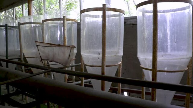 Abandoned fish farm. Glass flasks for fish breeding. Weiss incubator for incubating fish eggs in an abandoned fish farm