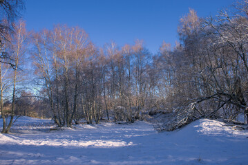 Winter landscape in the Auvergne forest at Puy des Goules, Puy-de-Dome