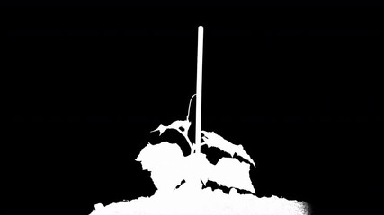 Young cucumber plants germinate under the sun, time lapse, alpha channel