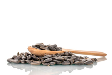 Many fragrant sunflower seeds with a wooden spoon, close-up, isolated on white.