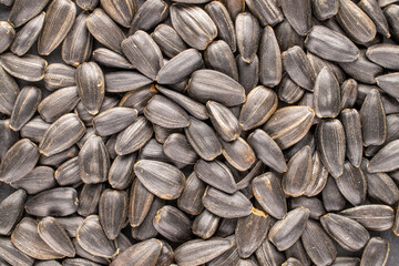 A lot of delicious sunflower seeds, close-up, top view.