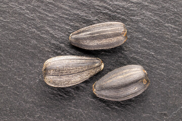 Three delicious sunflower seeds on a slate stone, close-up, top view.