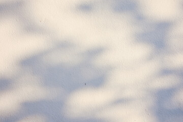 The shadow of the sun shining through the wood