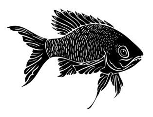 Vector illustration with silhouette of a fish. Isolated fish.