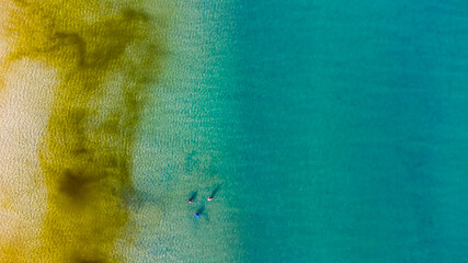 Praia com águas cristalinas e pessoas vista com drone