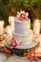 Obraz na płótnie Canvas Beautiful white Naked Layer wedding cake with fresh pink flowers on the table Two-tier wedding cake decorated with pink flowers against candlelight background 