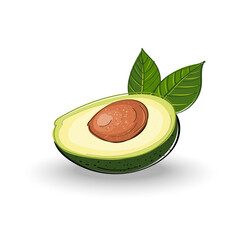 Fresh avocado with leaf isolated on white background. vector half avocado.