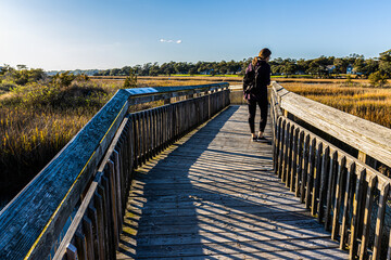 Boardwalk Trail On The Cherry Grove Marsh, Heritage Nature Preserve, Myrtle Beach, South Carolina,...