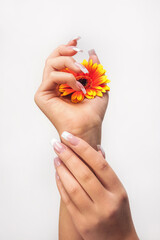 Wypielęgnowane dłonie z trzymające kwiat