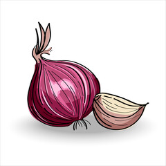 Fresh organic shallot and garlic isolated on a white background. Vector illustration. - obrazy, fototapety, plakaty