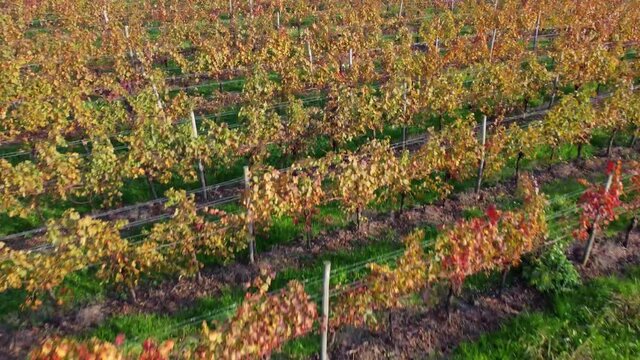 Autumn in the hills. Village and vineyards with an ancient flavor