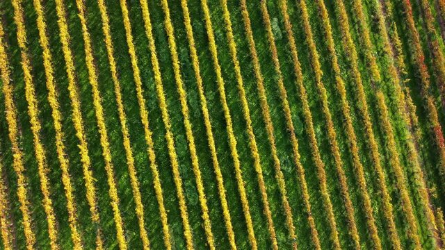 Autumn in the hills. Village and vineyards with an ancient flavor