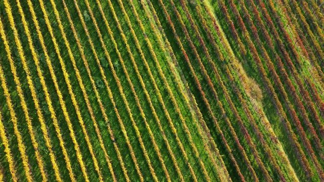 Autumn in the hills. Village and vineyards with an ancient flavor