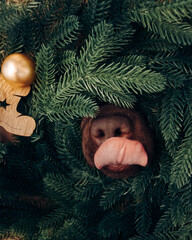 
Dog peeking out of the christmas tree