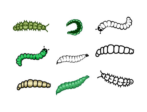 caterpillar, maggot and cocoon vector collections