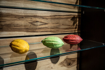 cocoa fruit of different colors on a display stand 