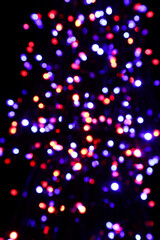 Beautiful abstract image of festive electric blue light bulbs at night. Holiday decoration made of small electric lights.