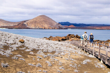 A view across Bartolomé, revealing how successful the Grey Matplant has been in colonising the relatively young volcanic landscape in this Galapagos Island.