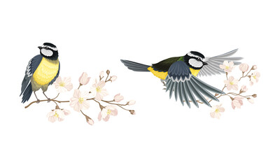 Tit bird and blooming twig of sakura tree set cartoon vector illustration