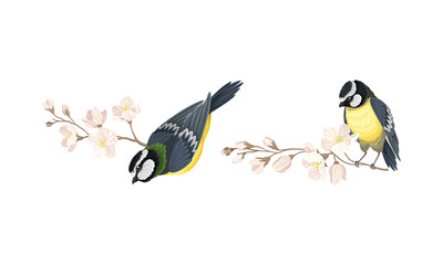 Fototapeta premium Titmouse birds and blooming twigs of apple or sakura tree cartoon vector illustration