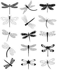dragonfly set silhouette on white background, isolated, vector