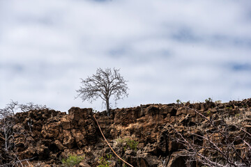 landscape with views of the islands of the Galapagos archipelago 