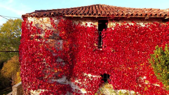 Autumn in the hills. Village and vineyards with an ancient flavor