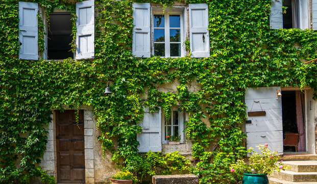 Traditional eco architecture with plants on the facade. Ecology and green environment concept. Stone farmhouse at French Alps. Farmhouse windows with old shabby shutters surrounded by ivy.