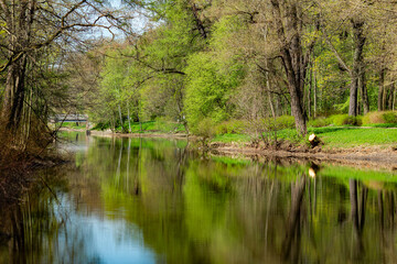 Fototapeta na wymiar Spring landscape. A sunny day in the park. Trees are reflected in the river.