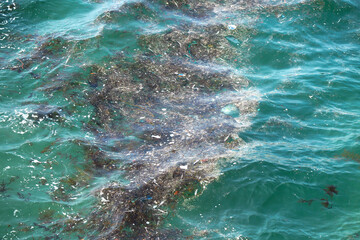 Rubbish and debris floating on the Cantabrian sea (Atlantic Ocean) of Riazor beach in A Coruña,...