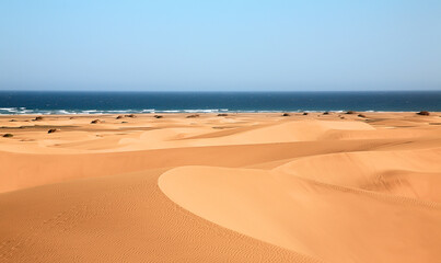 Fototapeta na wymiar Dunes landscape, Maspalomas, Cran Canaria, Spain.
