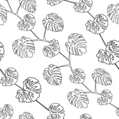 Illustration of a black leaves monstera isolated on a white background. Seamless pattern
