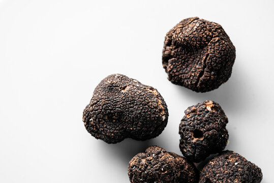 several freshly picked organic black truffles on a white background ready to serve in a restaurant. Tuber nigrum