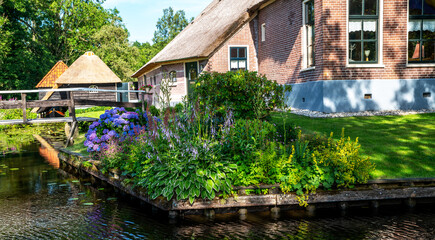 Fototapeta na wymiar Peaceful rural landscape of Giethoorn village, the Netherlands. House with beautiful flowers in small typical village. Landscape view of houses with canals and rustic thatched roof houses.