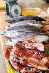 Fresh tuna and squid. Seafood counter. Asian fish market.