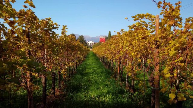 Autumn in the hills. Village and vineyards with an ancient flavor