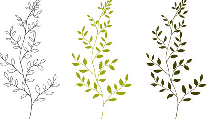 Collection of greenery. Leaves of herbaceous plants. Silhouettes of twigs of the plant. Vector illustration on a white background.