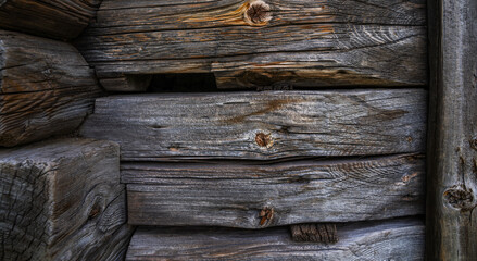 Obraz premium Texture of old bark wood used as natural background. Vintage toned. Empty template.