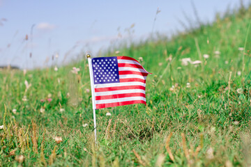 American flag on green grass lawn