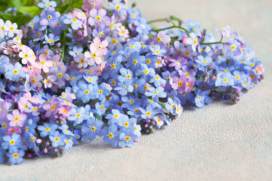 A bouquet of blue and pink forget-me-not flowers on a decorative background, close-up, selective focus. Postcard for congratulations.