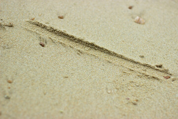 tire track or foot in the sand at the beach