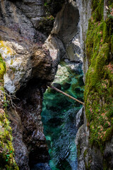 Colorful green Mostnica canyon, fast river in Triglav National Park