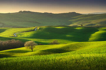 Fototapeta premium Springtime in Tuscany, rolling hills and trees. Pienza, Italy