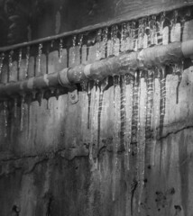 black and white of frozen icicles hanging from industrial piping on grungy concrete wall long  icicles glistening in the winter sun shadows on wall colder climate in winter weather  icicles melting