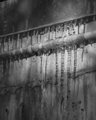 black and white of frozen icicles hanging from industrial piping on grungy concrete wall long  icicles glistening in the winter sun shadows on wall colder climate in winter weather  icicles melting