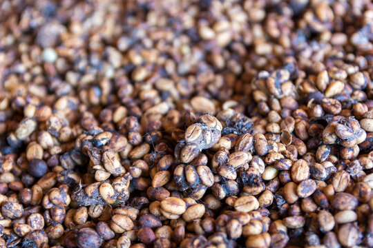 close-up on coffee beans