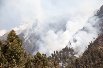 Fototapeta na wymiar Forest fire in the mountains. Java Island, Indonesia.