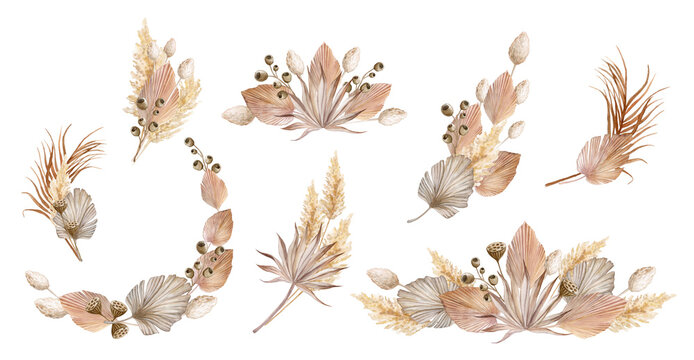 set of tropical bouquets with dry leaves and herbs, boho palm leaves and pampas grass isolated on white background. Floral illustration for design, print, fabric or background. Flower frames